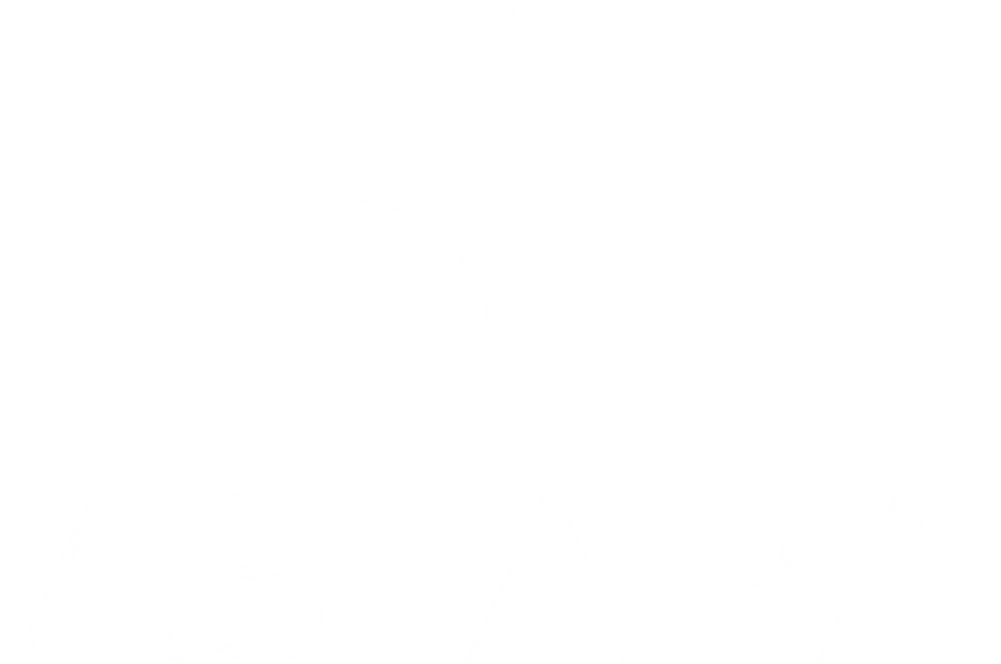 Website-logo